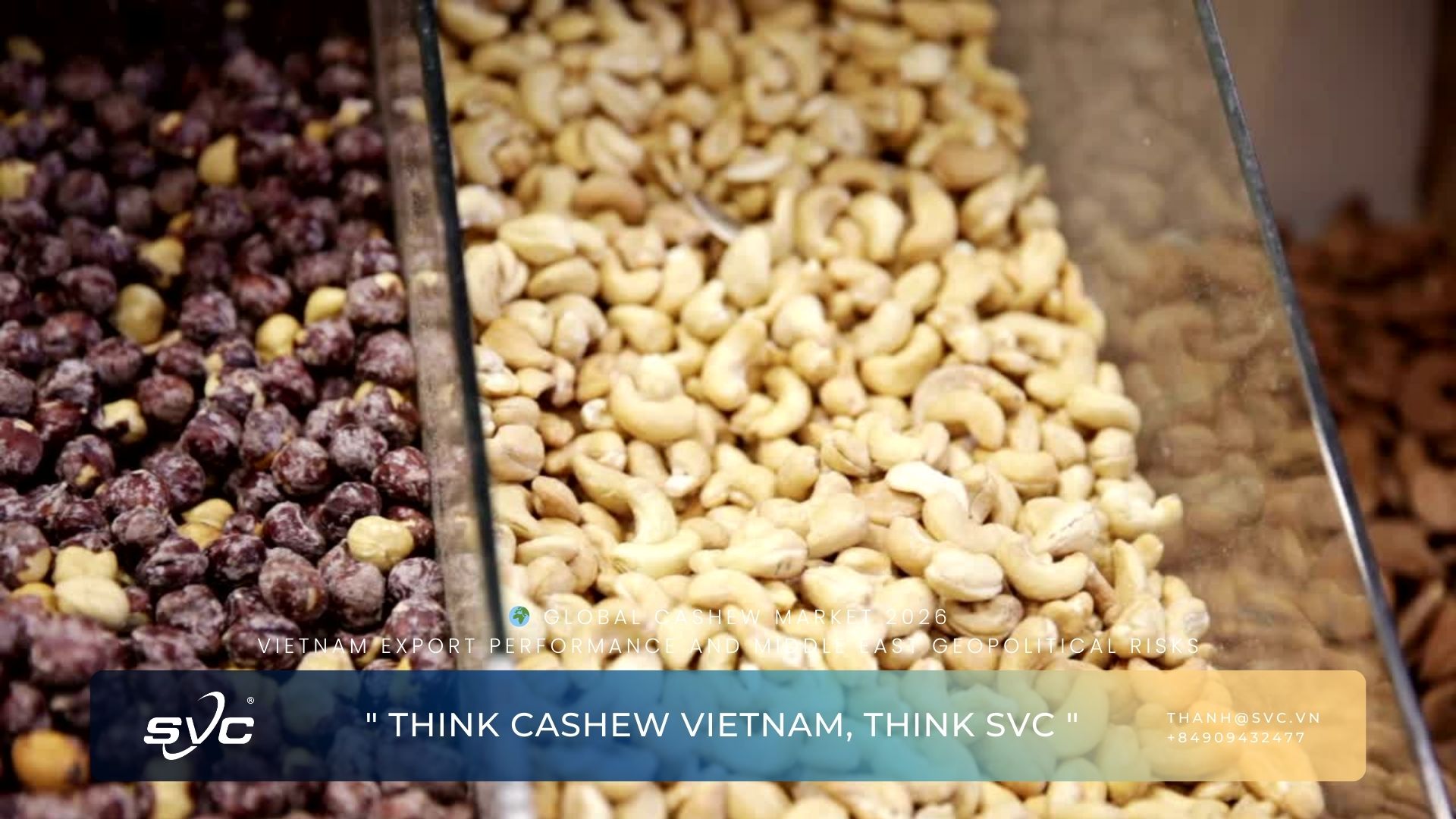 Global Cashew Market 2026