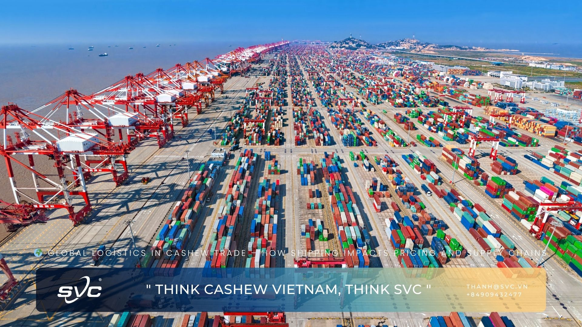 Global Logistics in Cashew Trade – How Shipping Impacts Pricing and Supply Chains