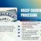 HACCP Cashew Processing – How SVC Controls Food Safety Risks