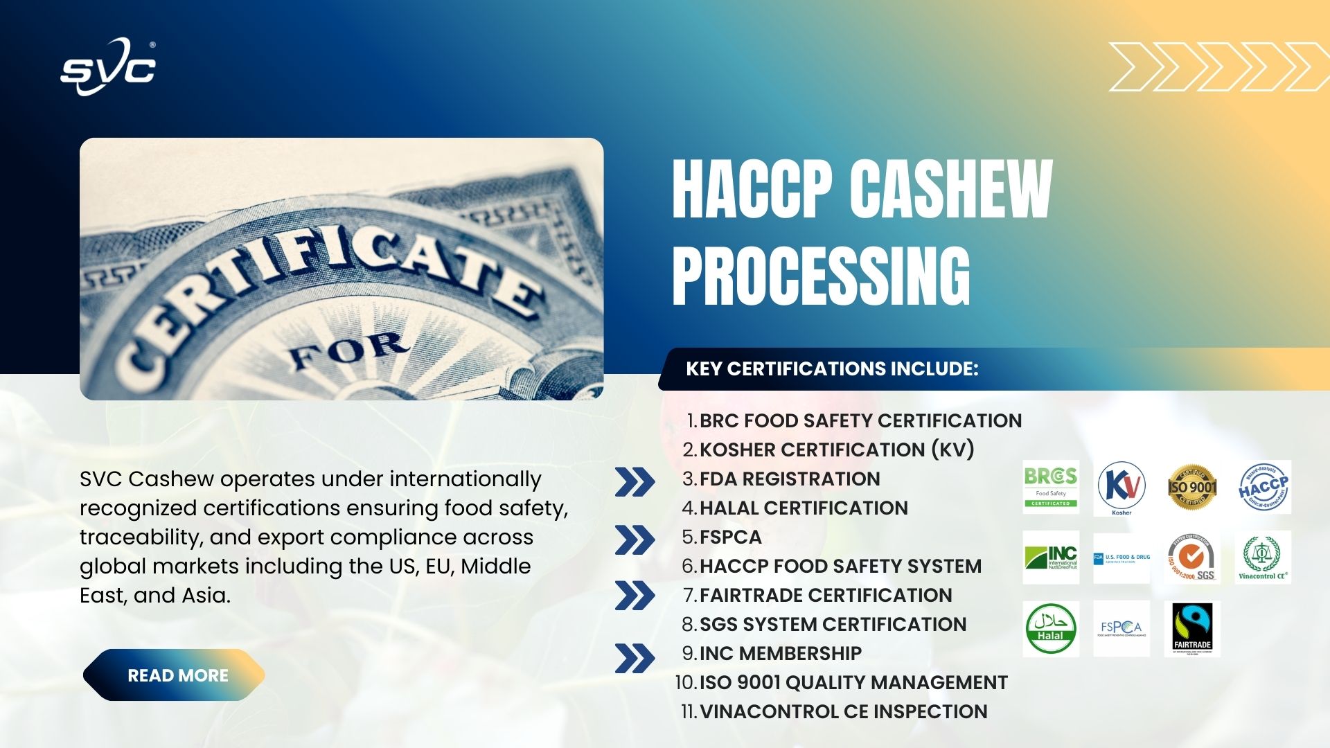 HACCP Cashew Processing – How SVC Controls Food Safety Risks