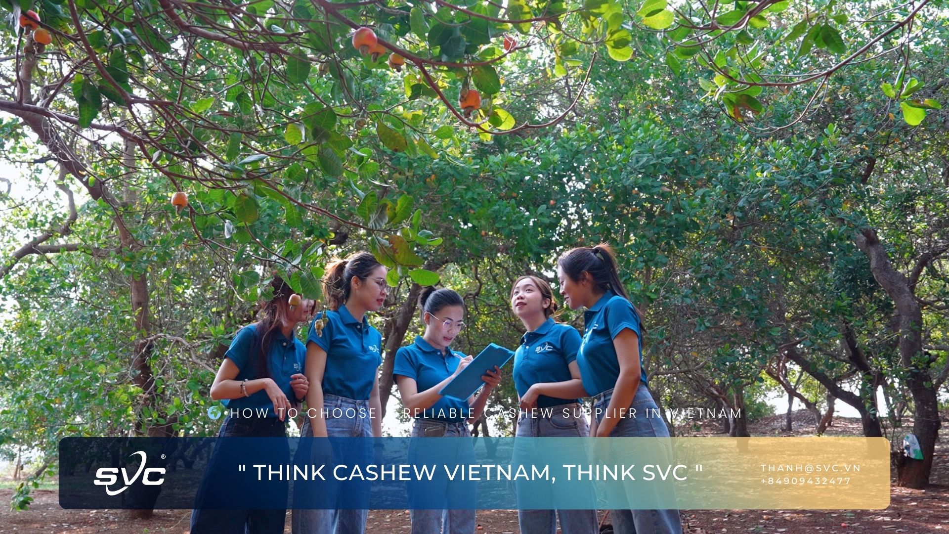 How to Choose a Reliable Cashew Supplier in Vietnam