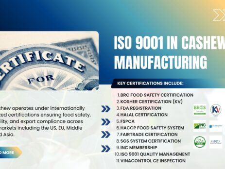 ISO 9001 in Cashew Manufacturing – Ensuring Consistent Quality from Vietnam