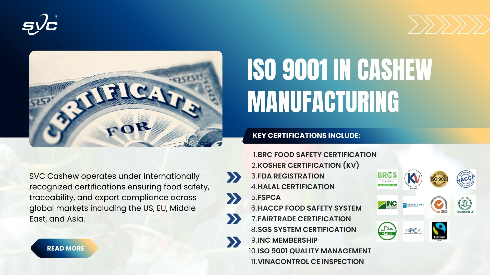 ISO 9001 in Cashew Manufacturing – Ensuring Consistent Quality from Vietnam