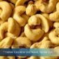 OEM Salted Roasted Cashew – Production & Cost Structure Explained