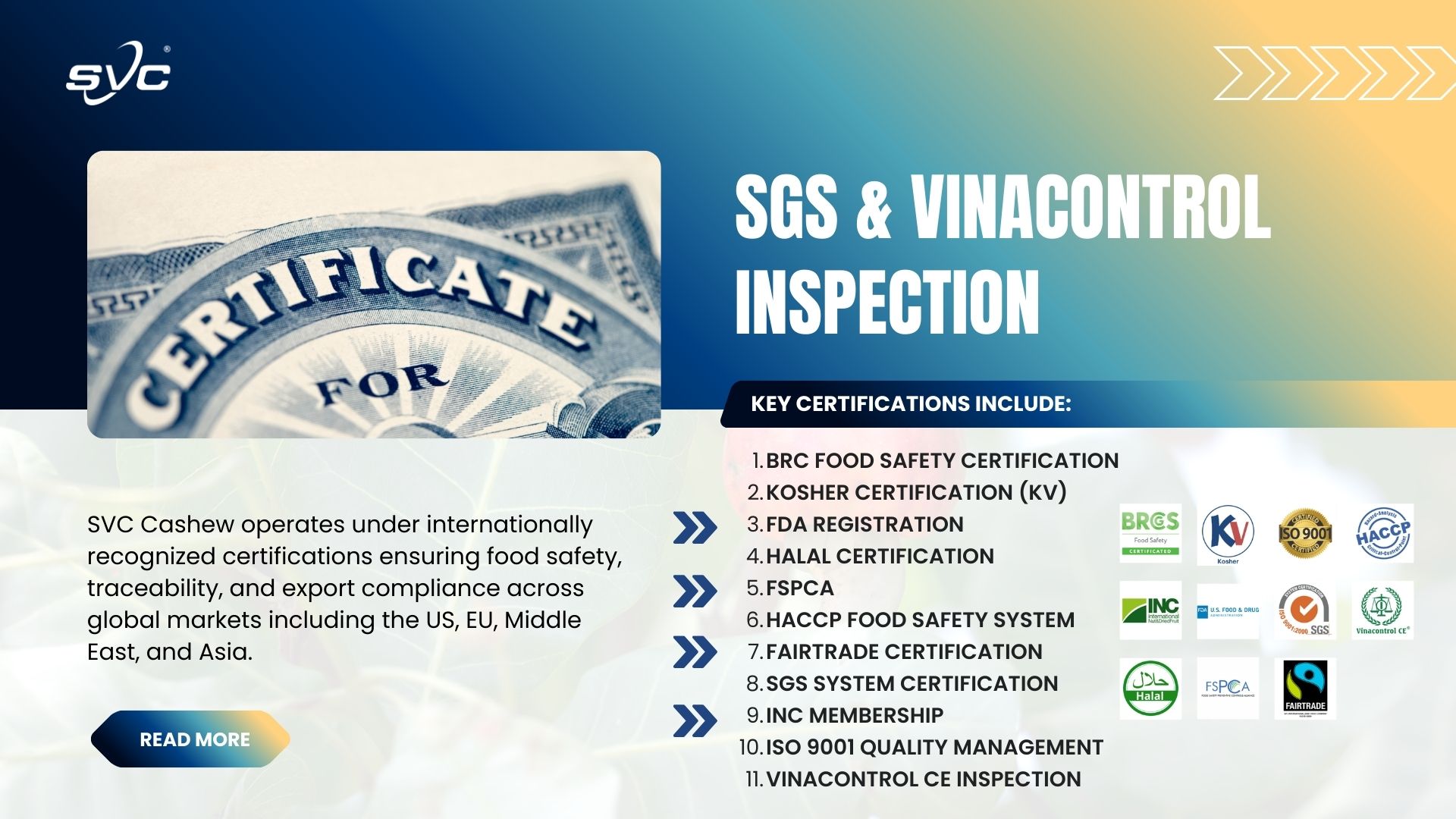 SGS & Vinacontrol Inspection – Ensuring Cashew Export Quality from Vietnam
