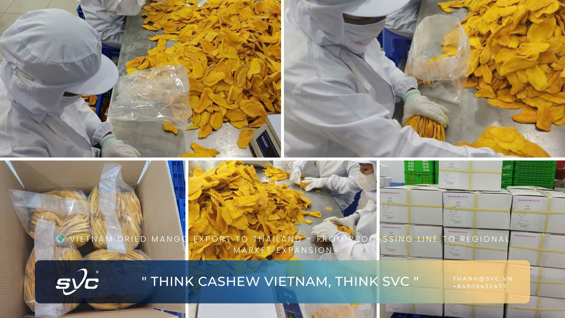 Vietnam Dried Mango Export to Thailand – From Processing Line to Regional Market Expansion