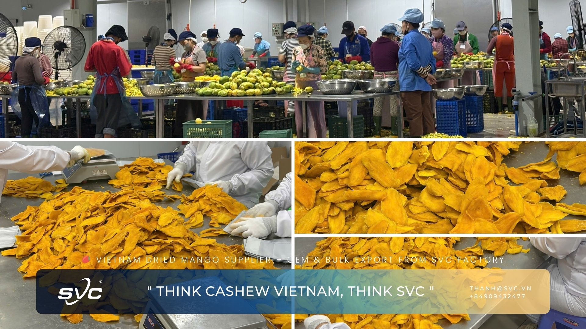Vietnam Dried Mango Supplier – OEM & Bulk Export from SVC Factory