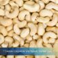 WW320 Cashew Price Today – Vietnam Export Market Analysis