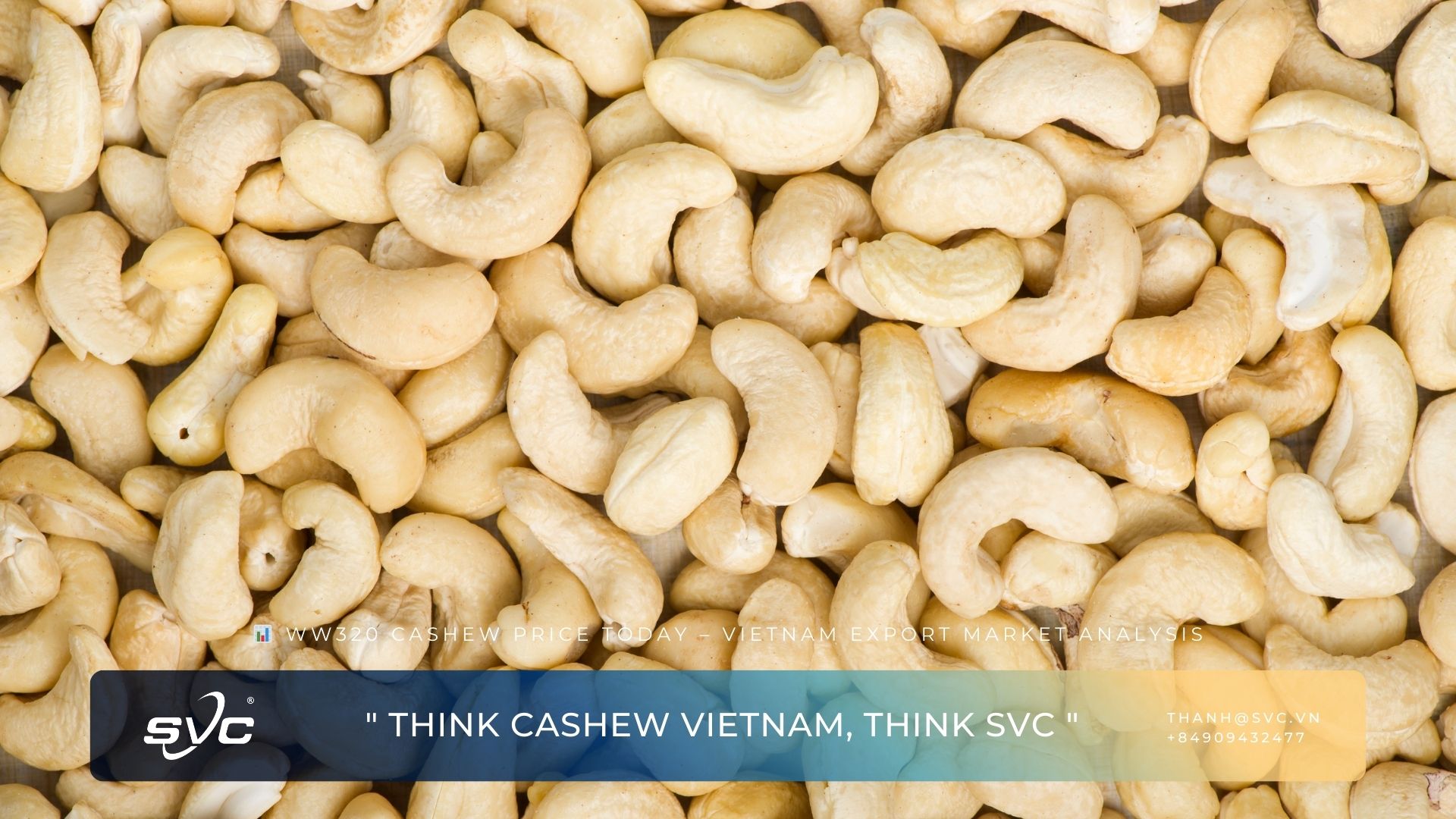 WW320 Cashew Price Today – Vietnam Export Market Analysis