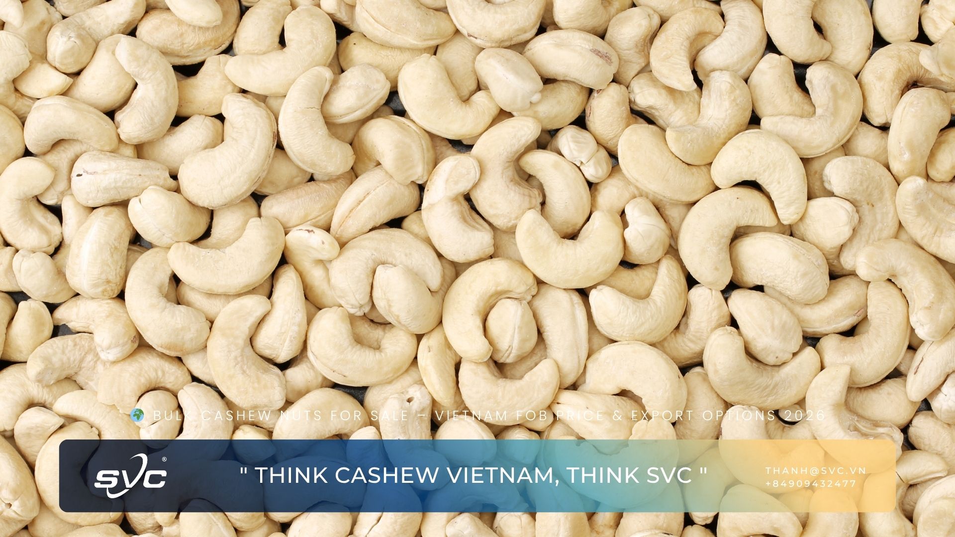 Bulk Cashew Nuts for Sale – Vietnam FOB Price & Export Options 2026
