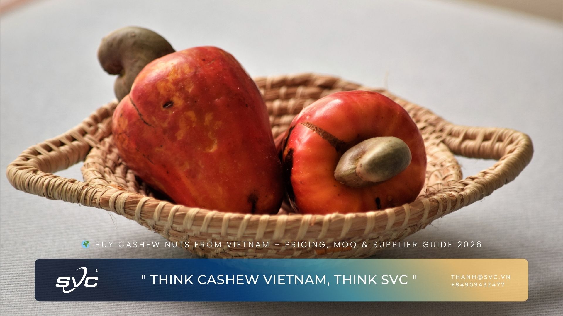 Buy Cashew Nuts from Vietnam – Pricing, MOQ & Supplier Guide 2026