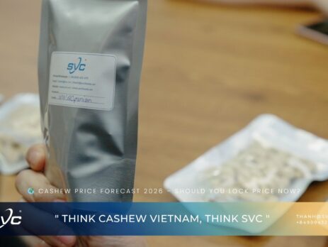 Cashew Price Forecast 2026 – Should You Lock Price Now?