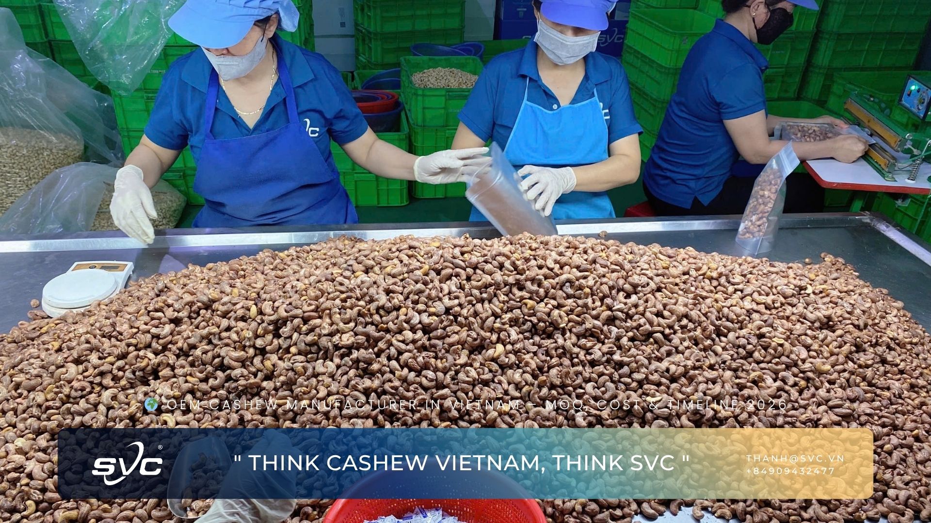 OEM Cashew Manufacturer in Vietnam – MOQ, Cost & Timeline 2026