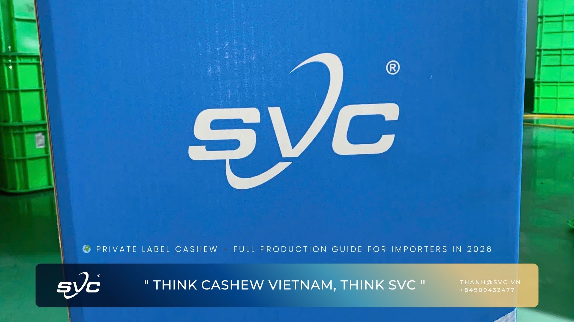 Private Label Cashew – Full Production Guide for Importers in 2026