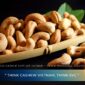 Roasted Cashew Supplier Vietnam – OEM & Wholesale Solutions 2026
