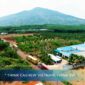 SVC Cashew Factory Vietnam – Inside Our Production & Export System