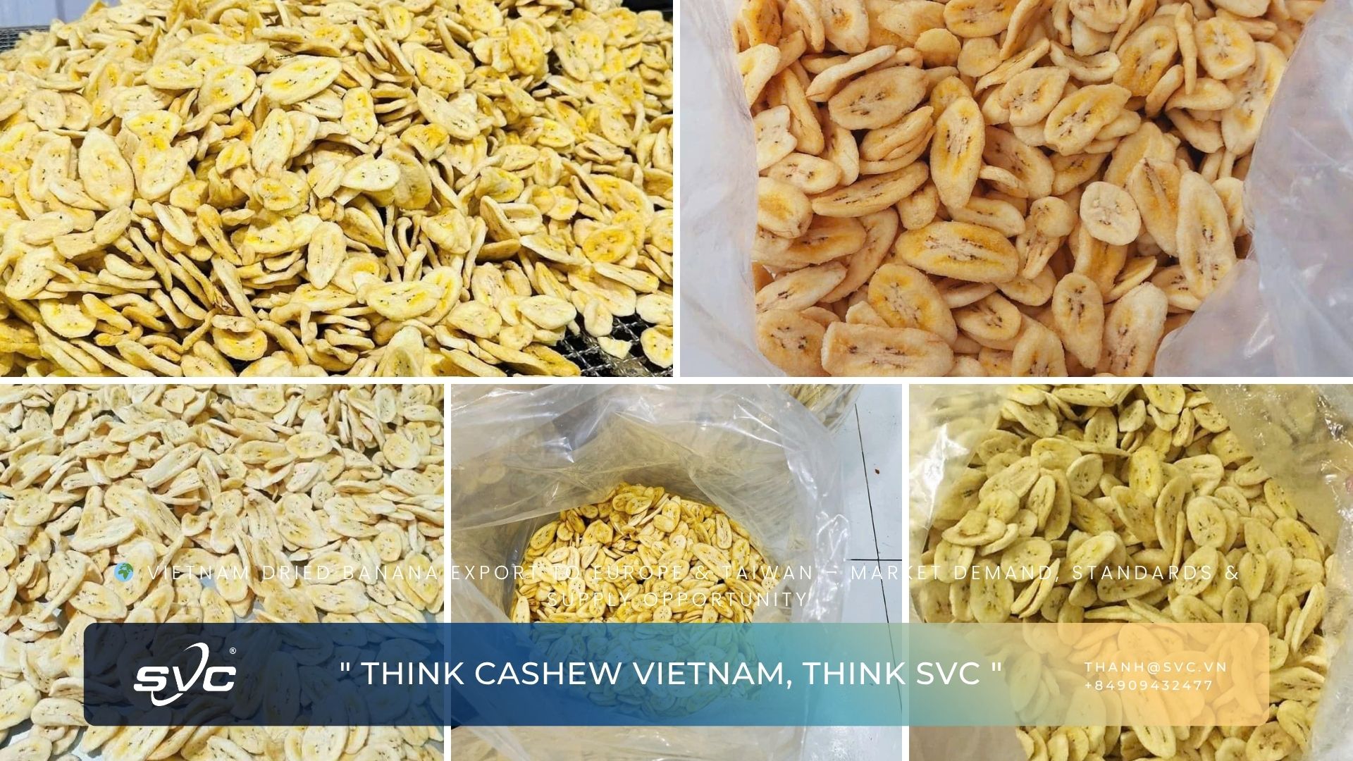 Vietnam Dried Banana Export to Europe & Taiwan – Market Demand, Standards & Supply Opportunity