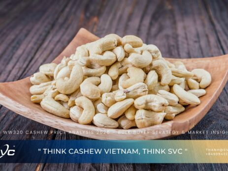 WW320 Cashew Price Analysis 2026 – Bulk Buyer Strategy & Market Insight