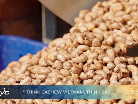 Why Importers Choose Vietnam Cashew Suppliers – Key Advantages