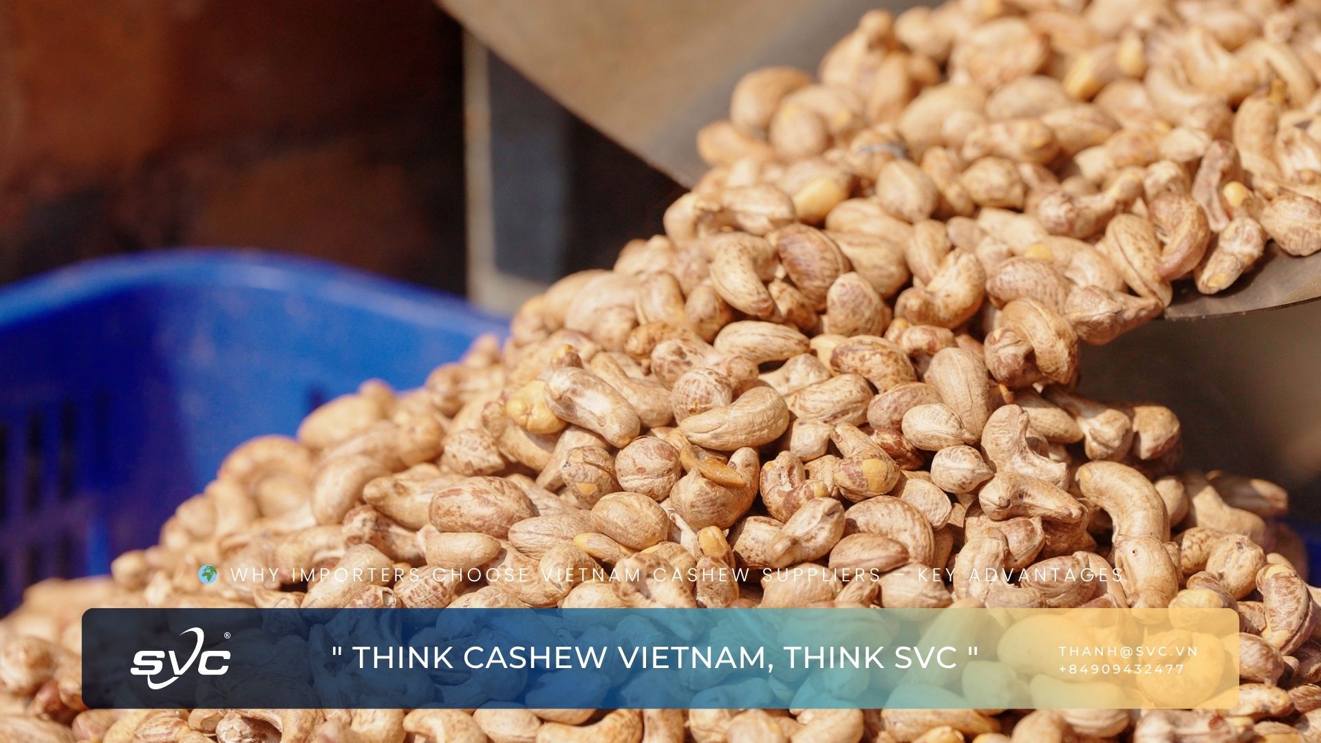 Why Importers Choose Vietnam Cashew Suppliers – Key Advantages