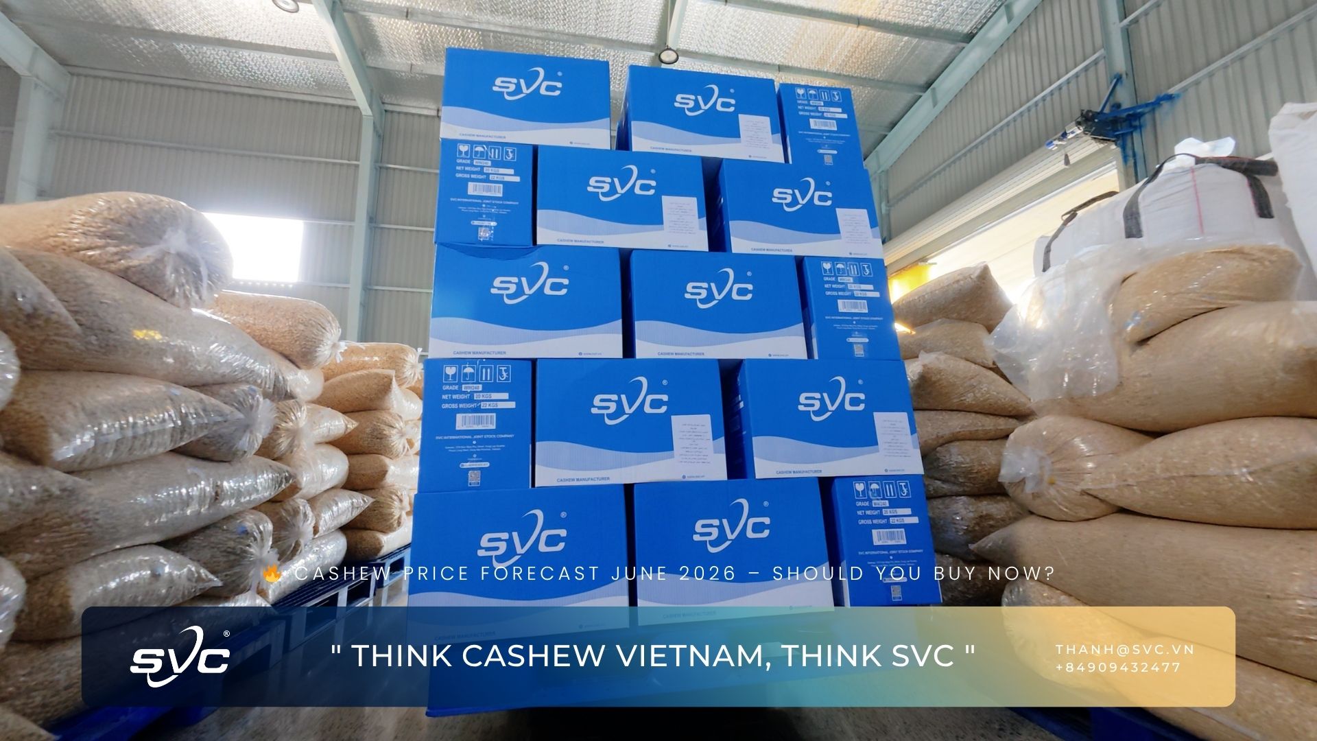 Cashew Price Forecast June 2026 – Should You Buy Now?