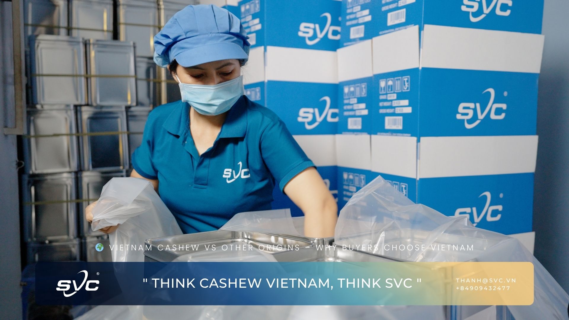 Vietnam Cashew vs Other Origins – Why Buyers Choose Vietnam