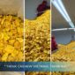 Vietnam Dried Jackfruit Export – SVC Expands Global Tropical Snack Supply
