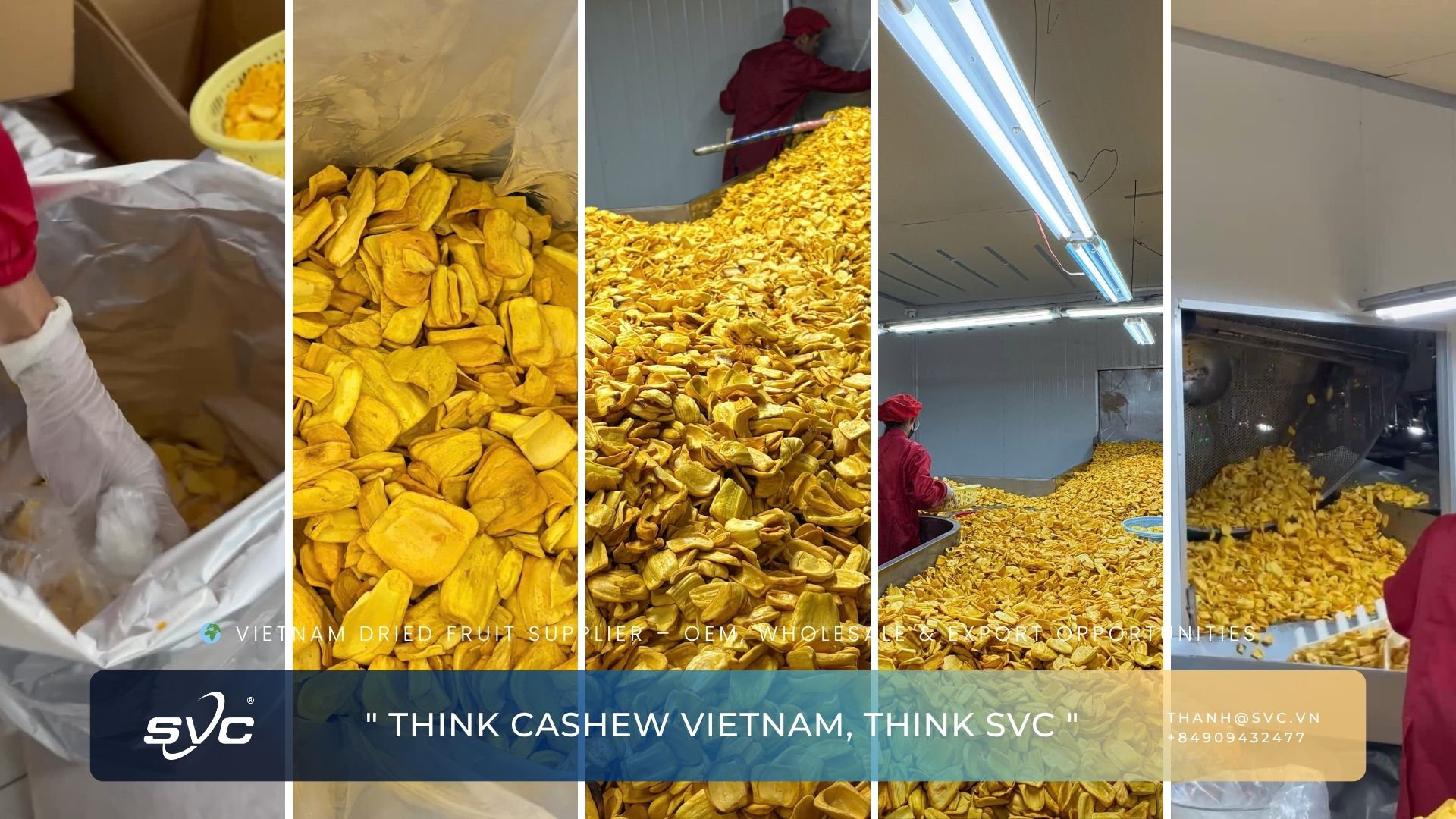 Vietnam Dried Jackfruit Export – SVC Expands Global Tropical Snack Supply