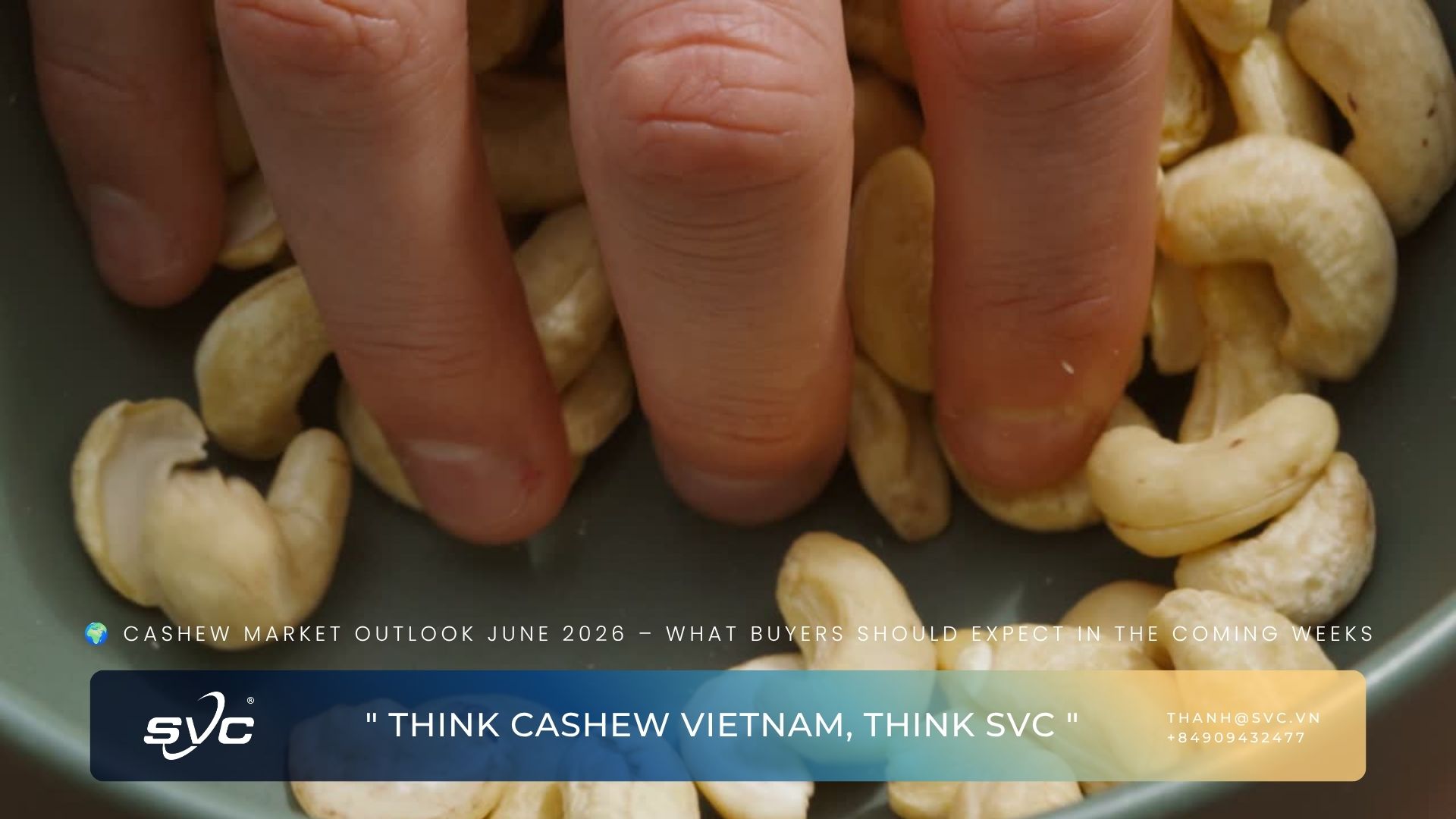 Cashew Market Outlook June 2026 – What Buyers Should Expect in the Coming Weeks