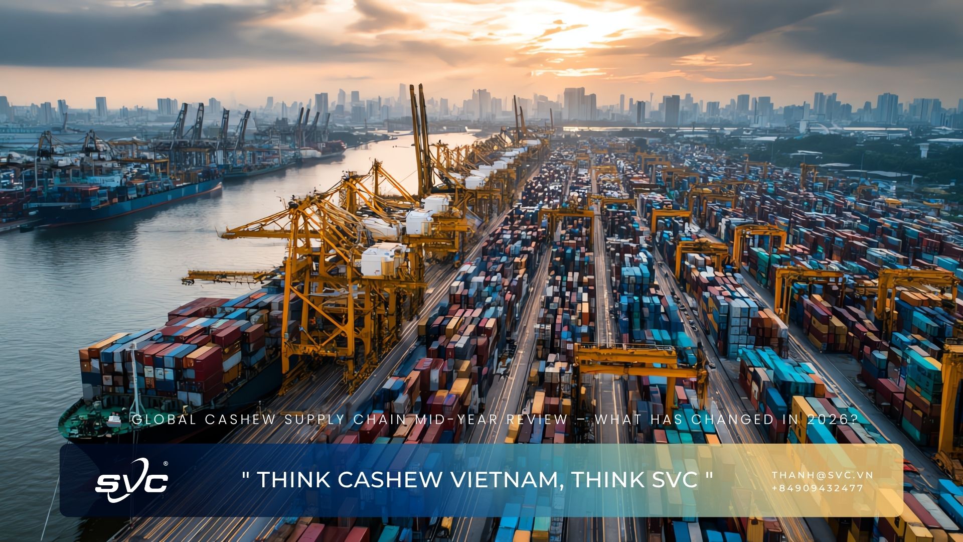 Global Cashew Supply Chain Mid-Year Review – What Has Changed In 2026?