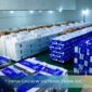 Vietnam Cashew Exports After Q2 – Stronger Than Expected?