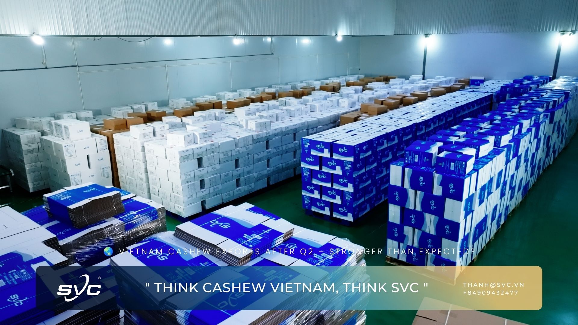 Vietnam Cashew Exports After Q2 – Stronger Than Expected?