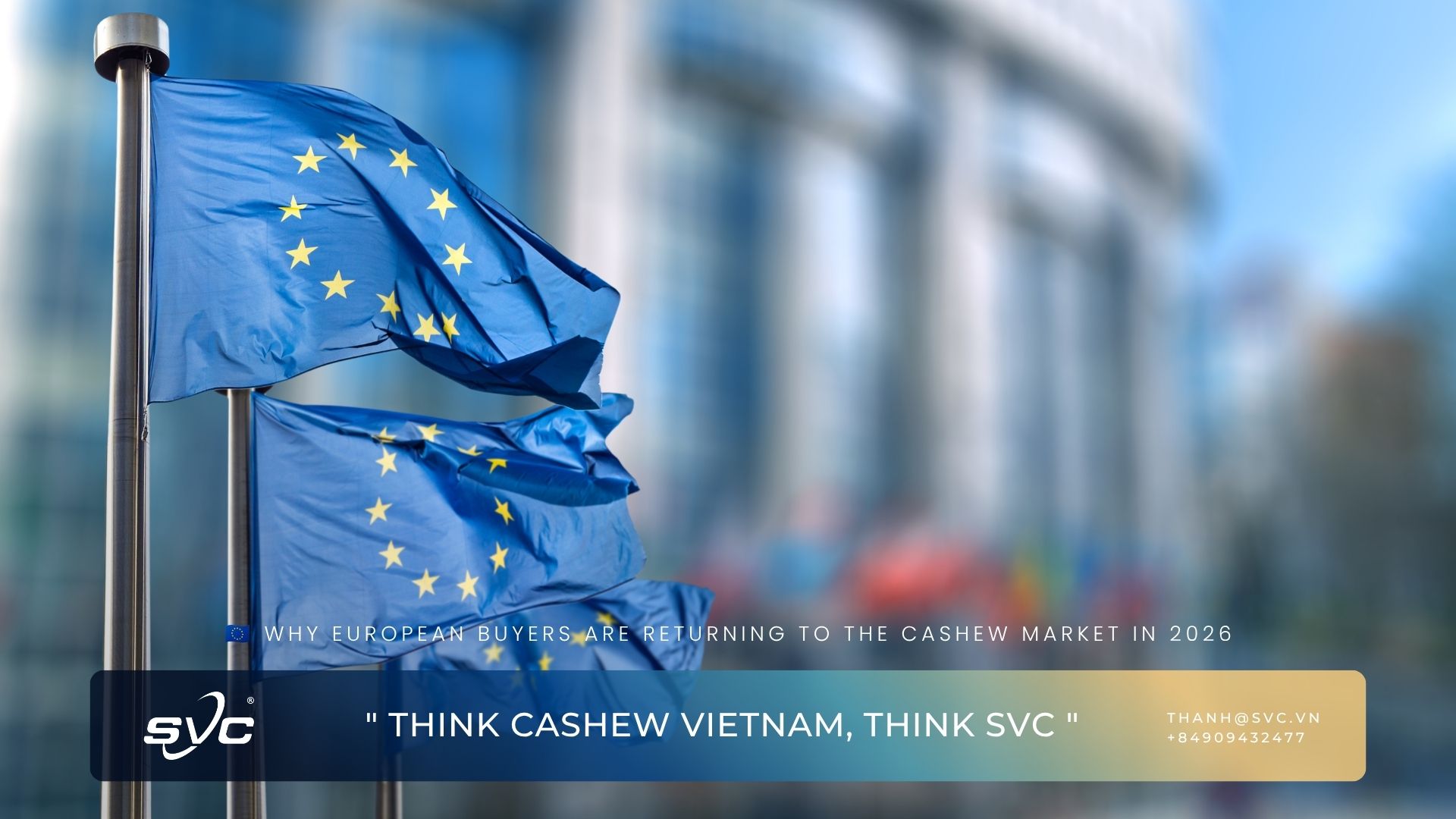 Why European Buyers Are Returning To The Cashew Market In 2026