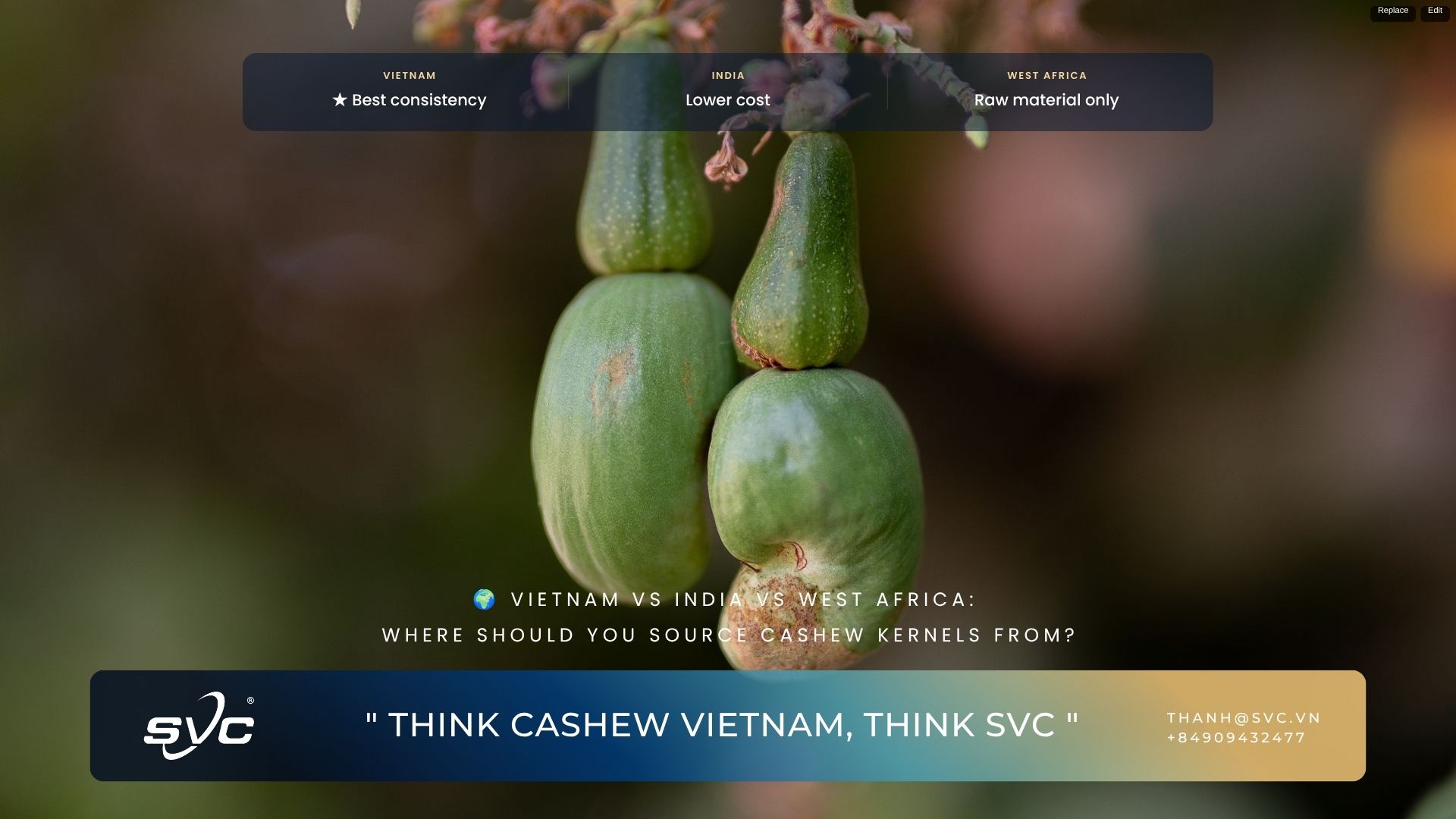Vietnam Vs India Vs West Africa: Where Should You Source Cashew Kernels From?
