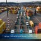 Inside SVC Factory During Peak Export Season: People, Process And Container Loading