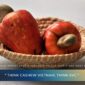 Cashew Market Update July 2026: Prices, Supply And What Buyers