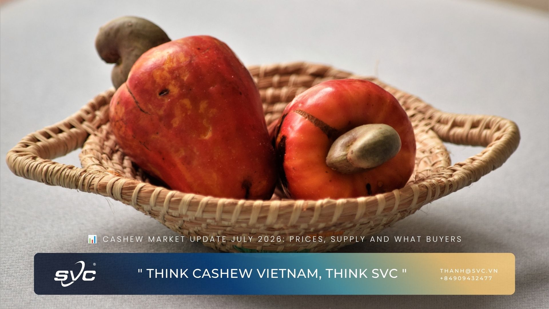 Cashew Market Update July 2026: Prices, Supply And What Buyers