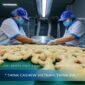 How Global Buyers Audit A Cashew Factory Before Their First Order