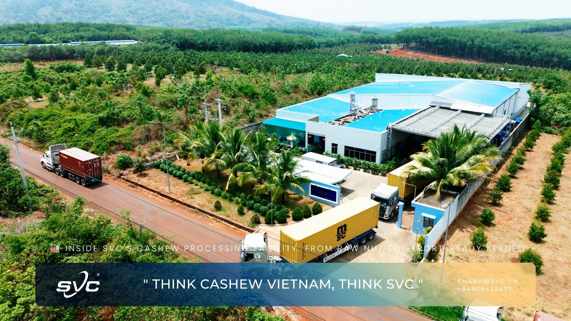 Inside SVC's Cashew Processing Facility: From Raw Nut To Export-Ready Kernel