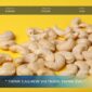 SVC Cashew Price Index: Tracking WW320 And WW240 Through H1 2026