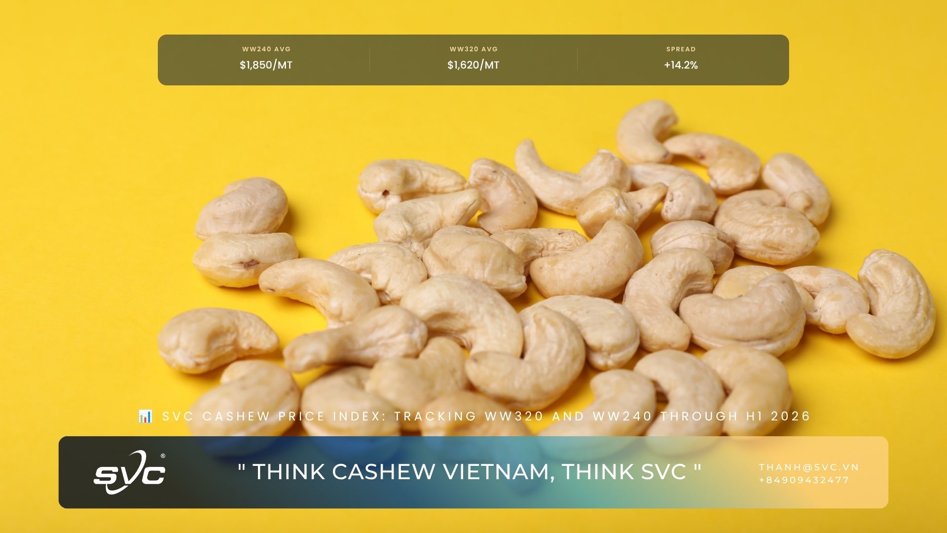 SVC Cashew Price Index: Tracking WW320 And WW240 Through H1 2026