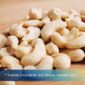 Vietnam Cashew Market: H1 2026 Review And H2 Outlook