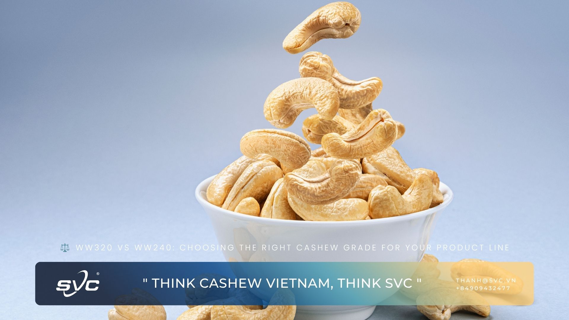 WW320 Vs WW240: Choosing The Right Cashew Grade For Your Product Line