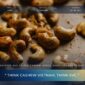 A320 Roasted And Salted Cashew: Specs, Shelf Life And Export Markets