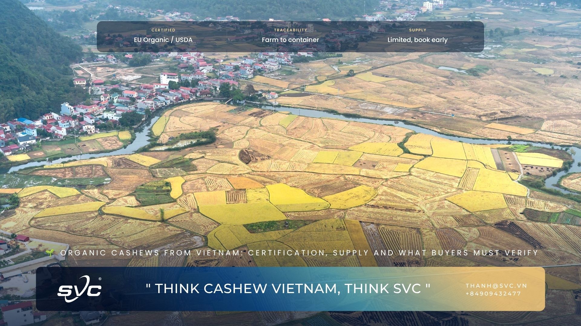 Organic Cashews From Vietnam: Certification, Supply And What Buyers Must Verify