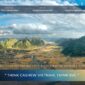 Binh Phuoc, Dong Nai And Gia Lai: A Buyer's Map To Vietnam's Cashew Regions