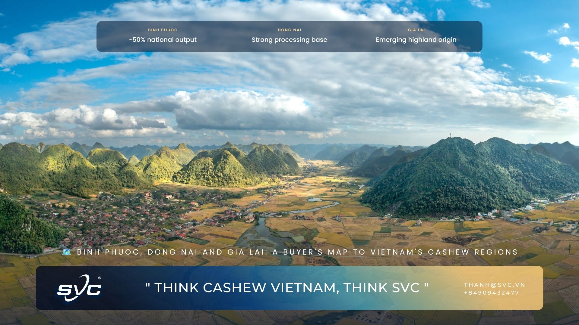 Binh Phuoc, Dong Nai And Gia Lai: A Buyer's Map To Vietnam's Cashew Regions