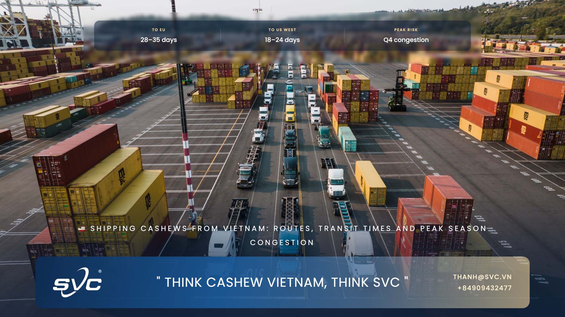 Shipping Cashews From Vietnam: Routes, Transit Times And Peak Season Congestion