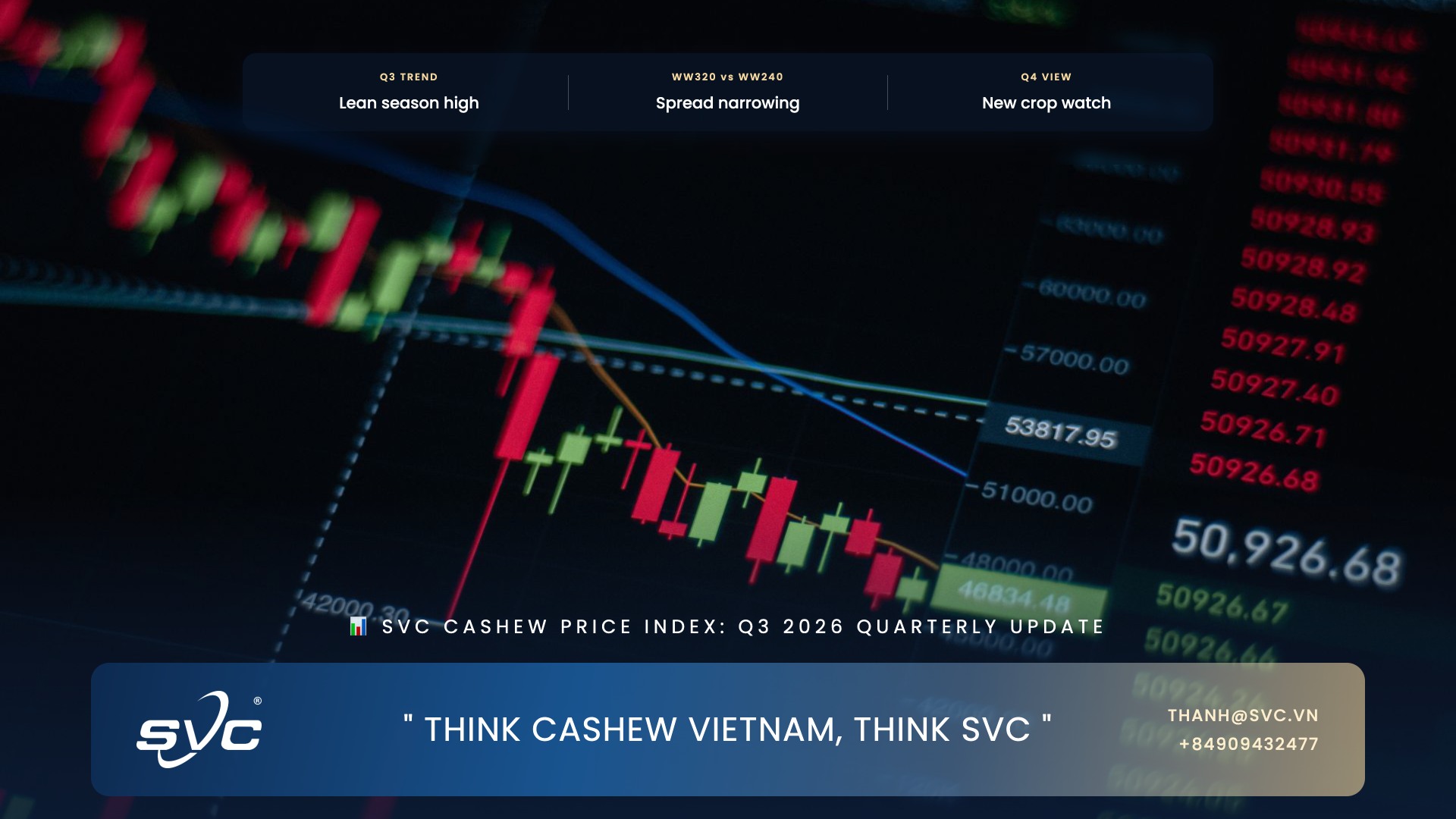 SVC Cashew Price Index: Q3 2026 Quarterly Update