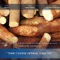 How To Import Tapioca Starch From Vietnam: Specs, Packing, Container Loads And Documents